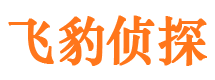 莱山侦探公司